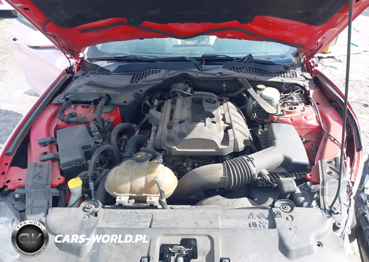 2018 Ford Mustang VIN:1FATP8UHXJ5155334 - 10