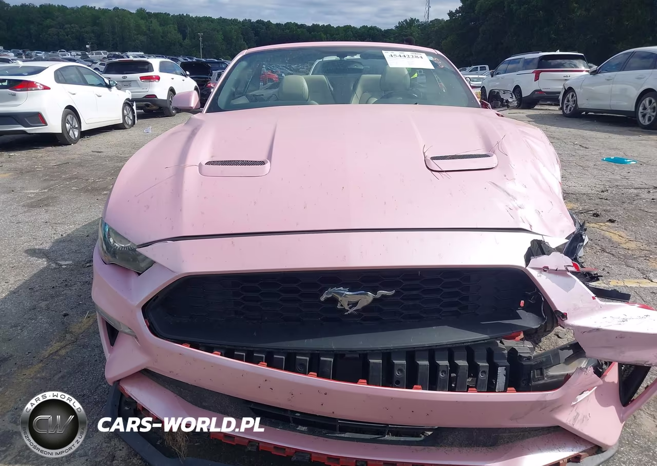 2018 Ford Mustang VIN:1FATP8UHXJ5155334 - 12