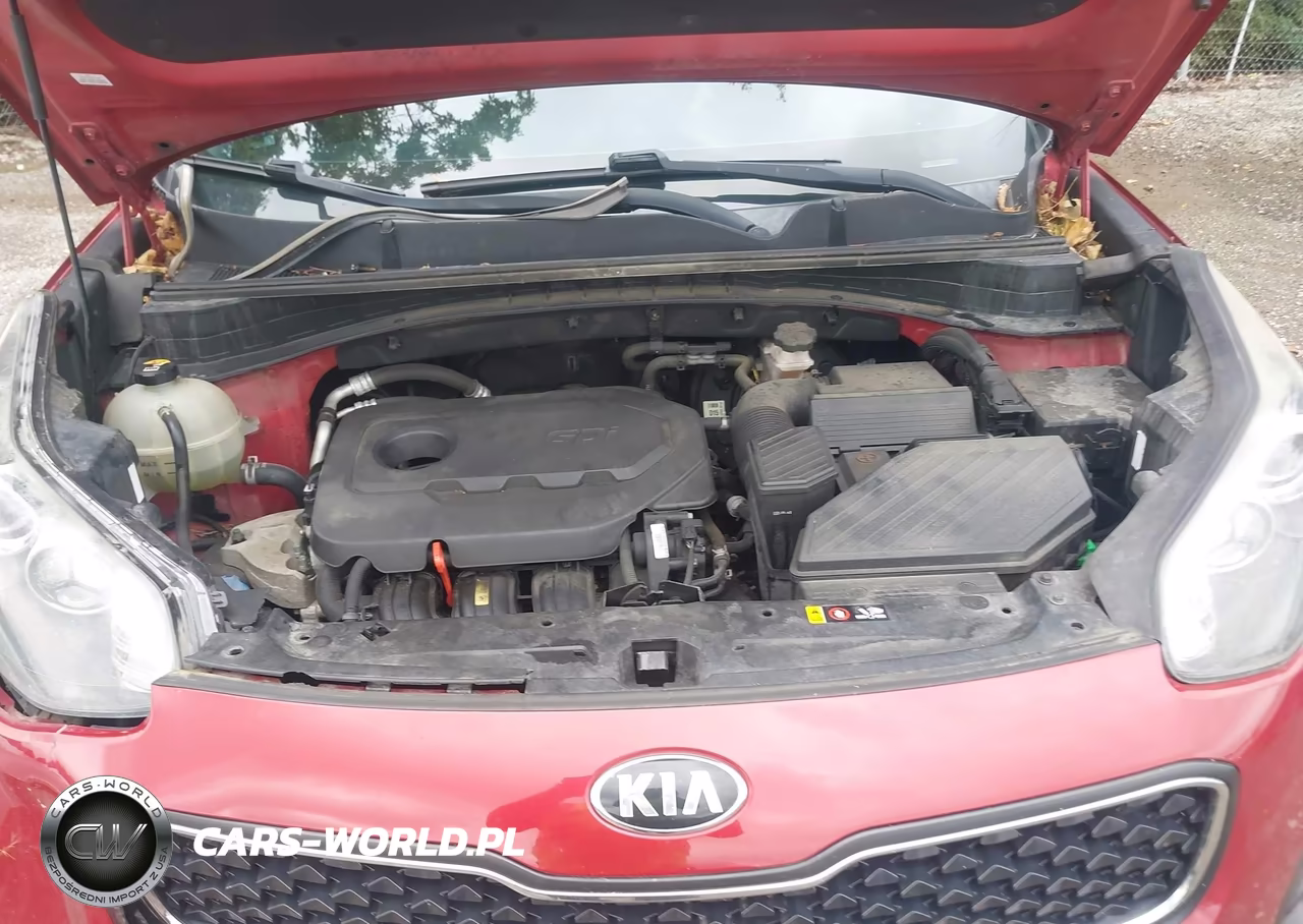 2017 Kia Sportage Lx VIN:KNDPM3AC3H7070625 - 10