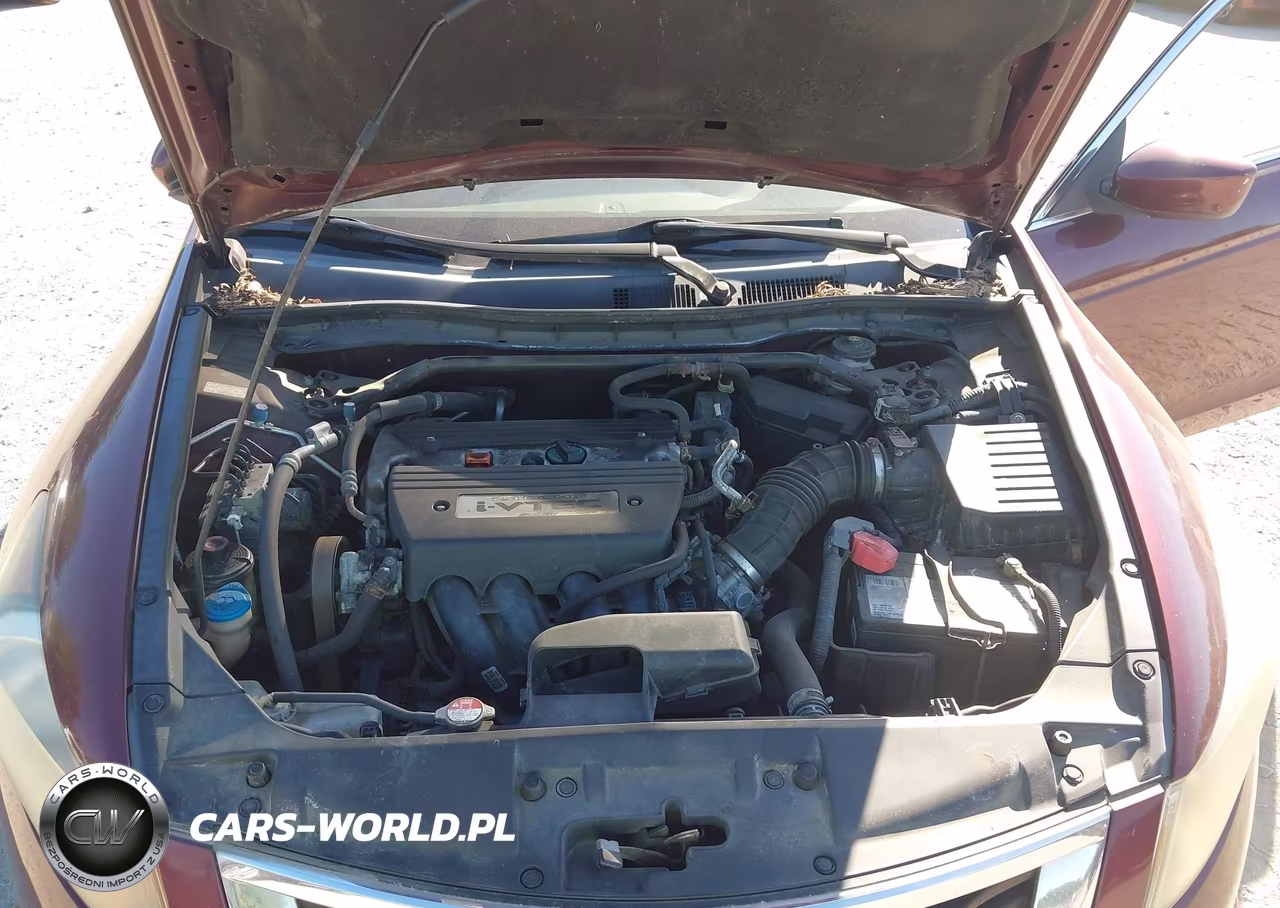 2009 Honda Accord 2.4 Ex-L VIN:1HGCP26849A073852 - 10
