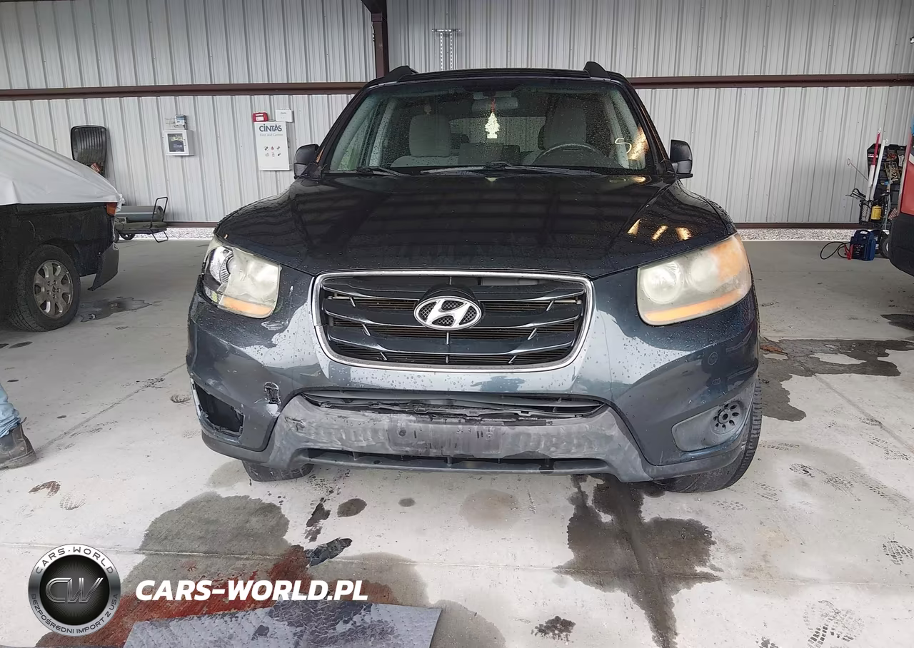 2010 Hyundai Santa Fe Gls VIN:5NMSG3AB4AH361271 - 11