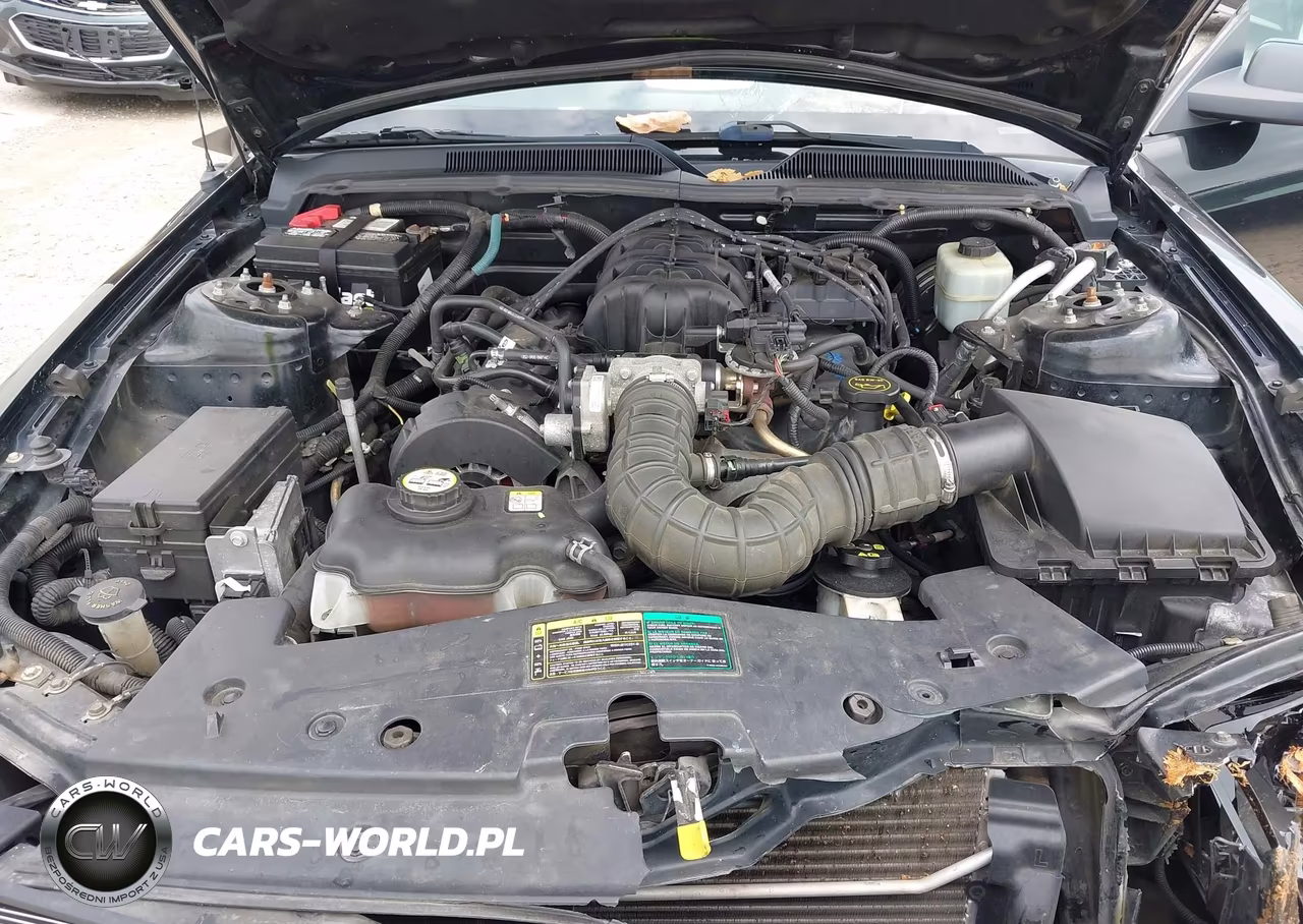 2005 Ford Mustang V6 Deluxe-V6 Premium VIN:1ZVFT80N755144129 - 10
