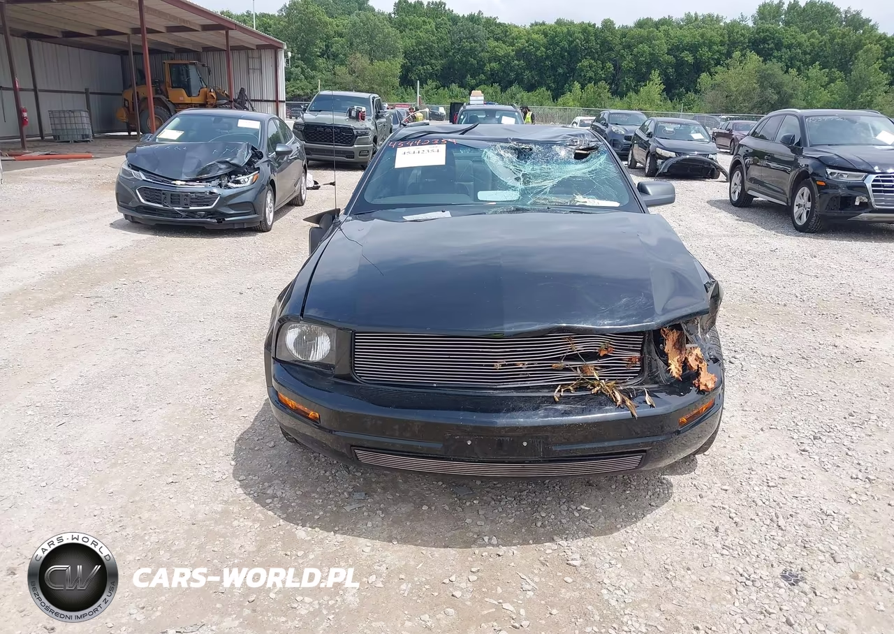 2005 Ford Mustang V6 Deluxe-V6 Premium VIN:1ZVFT80N755144129 - 12