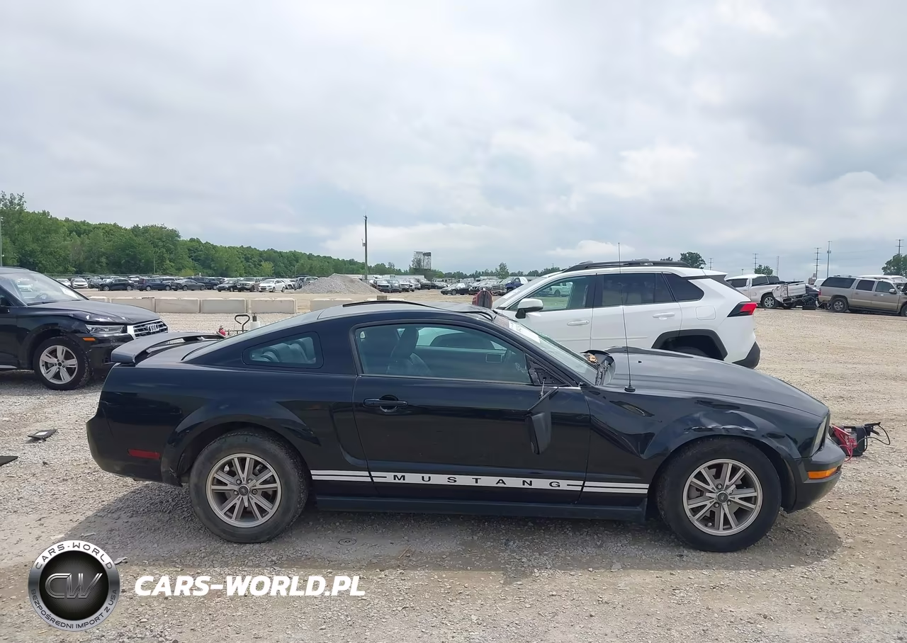 2005 Ford Mustang V6 Deluxe-V6 Premium VIN:1ZVFT80N755144129 - 13