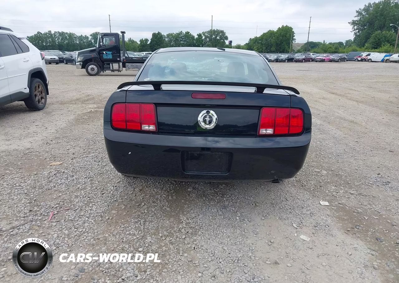 2005 Ford Mustang V6 Deluxe-V6 Premium VIN:1ZVFT80N755144129 - 16