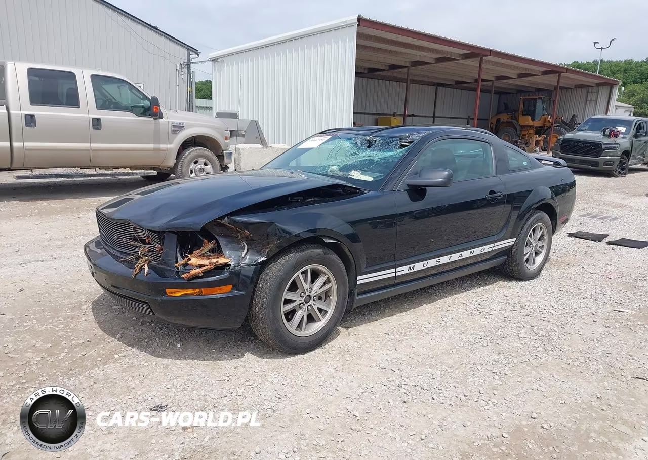 2005 Ford Mustang V6 Deluxe-V6 Premium VIN:1ZVFT80N755144129 - 2