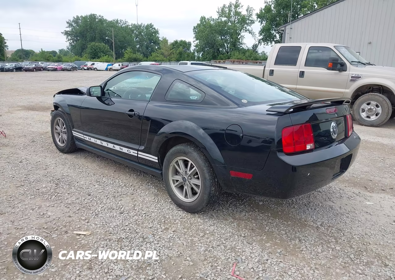 2005 Ford Mustang V6 Deluxe-V6 Premium VIN:1ZVFT80N755144129 - 3