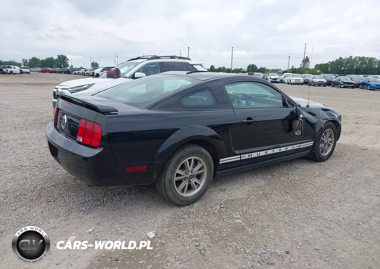 2005 Ford Mustang V6 Deluxe-V6 Premium VIN:1ZVFT80N755144129 - 4