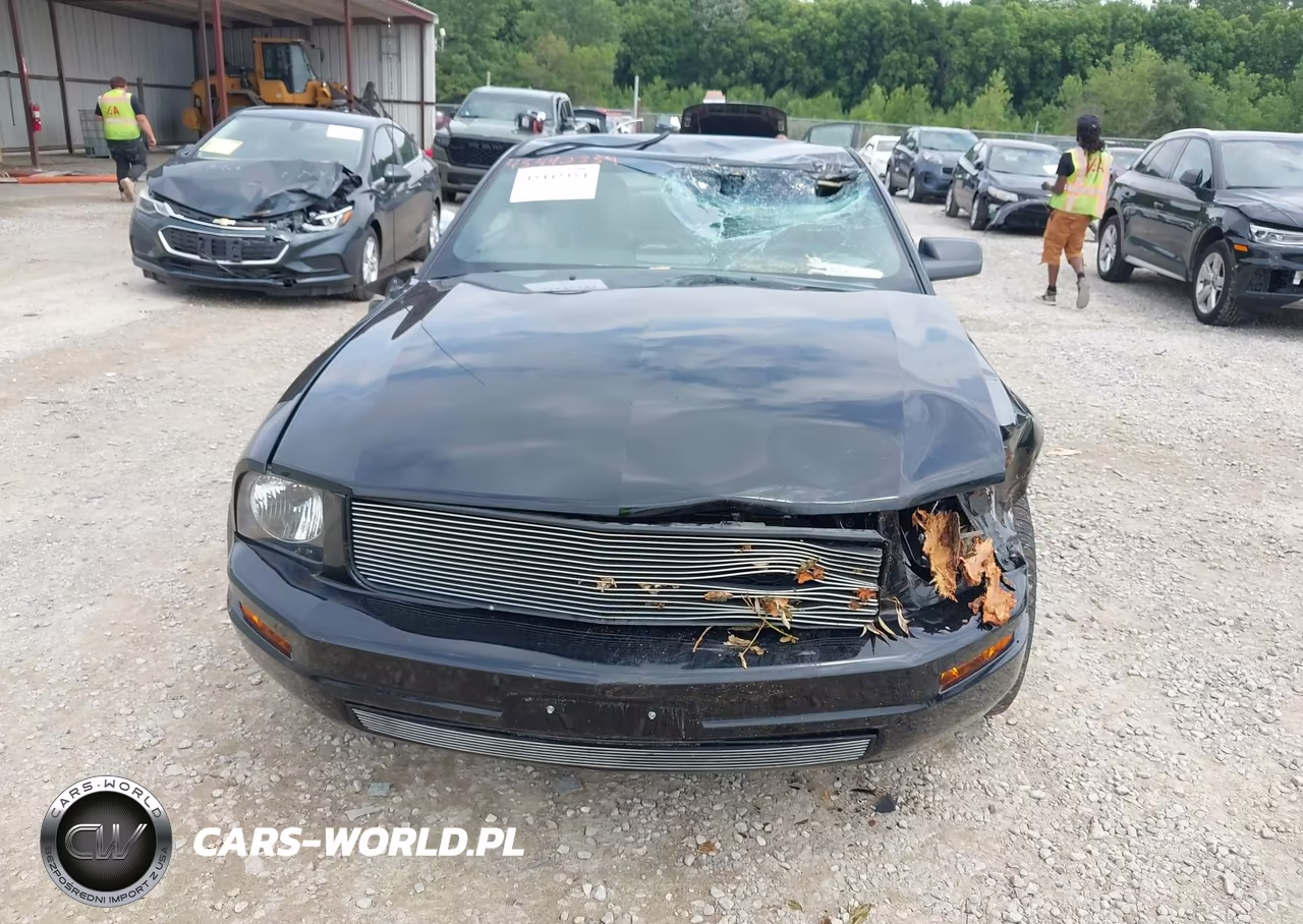 2005 Ford Mustang V6 Deluxe-V6 Premium VIN:1ZVFT80N755144129 - 6