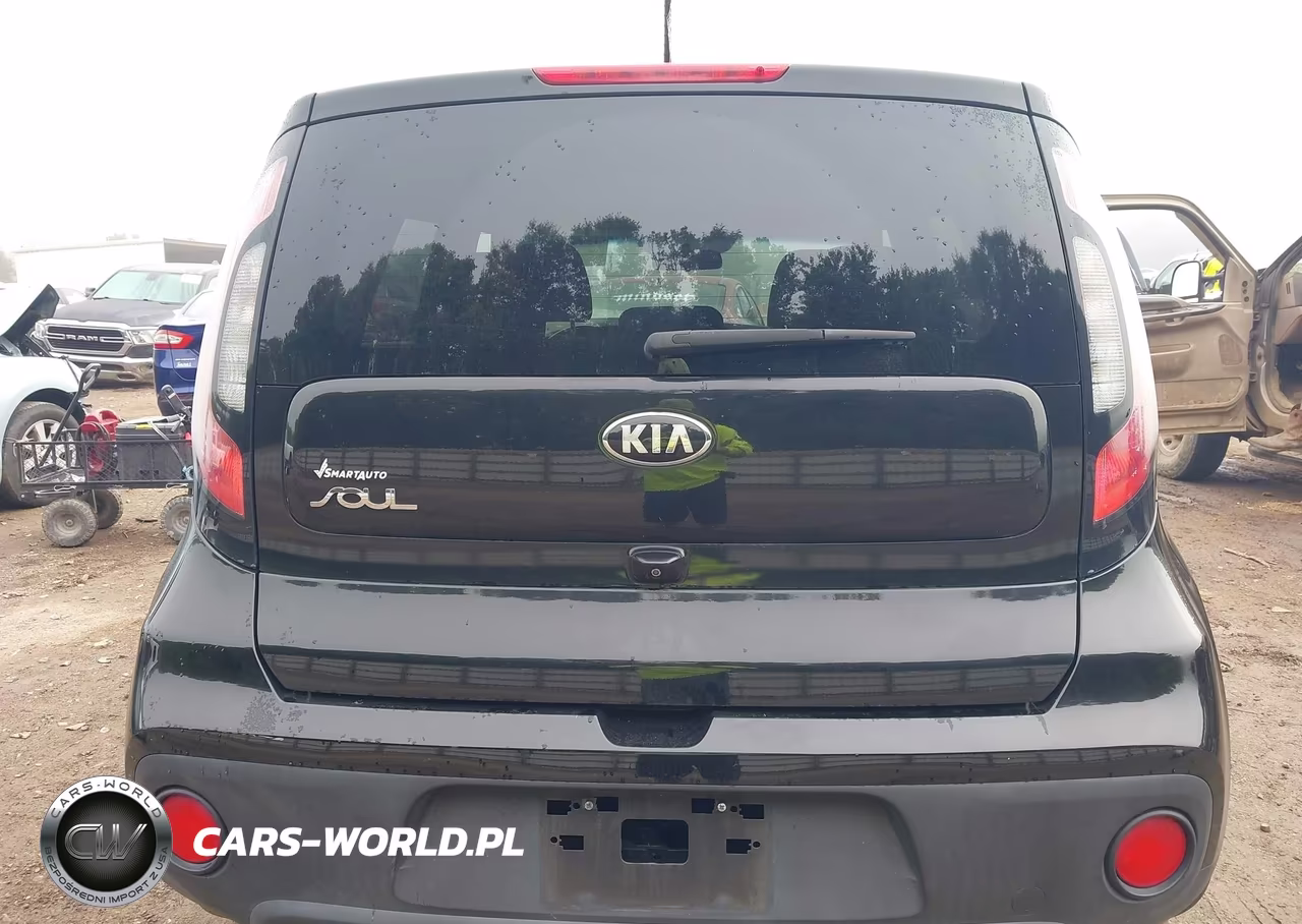 2019 Kia Soul VIN:KNDJN2A24K7696308 - 17