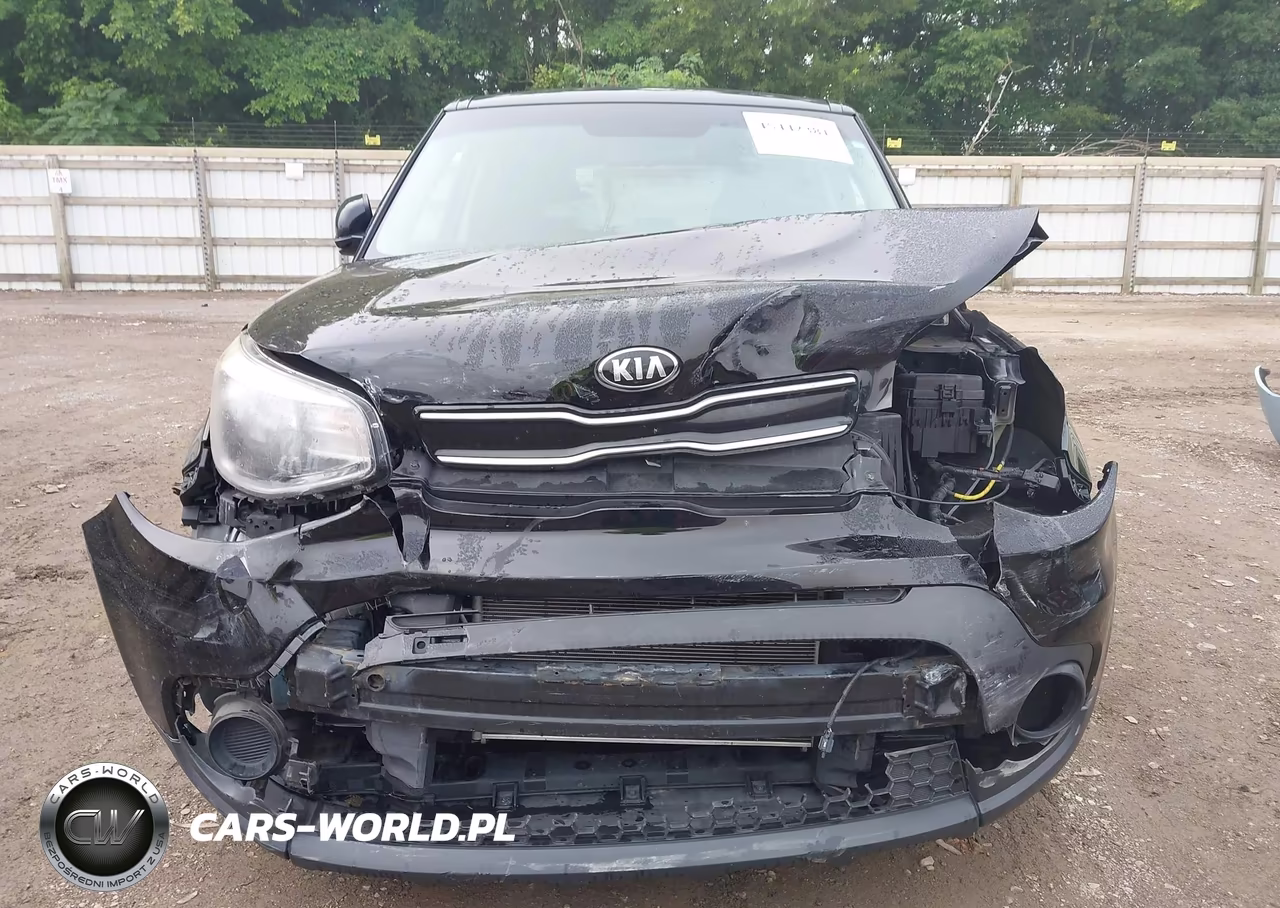 2019 Kia Soul VIN:KNDJN2A24K7696308 - 6