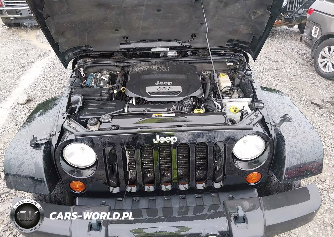 2013 Jeep Wrangler Unlimited Sahara VIN:1C4BJWEG1DL624957 - 10