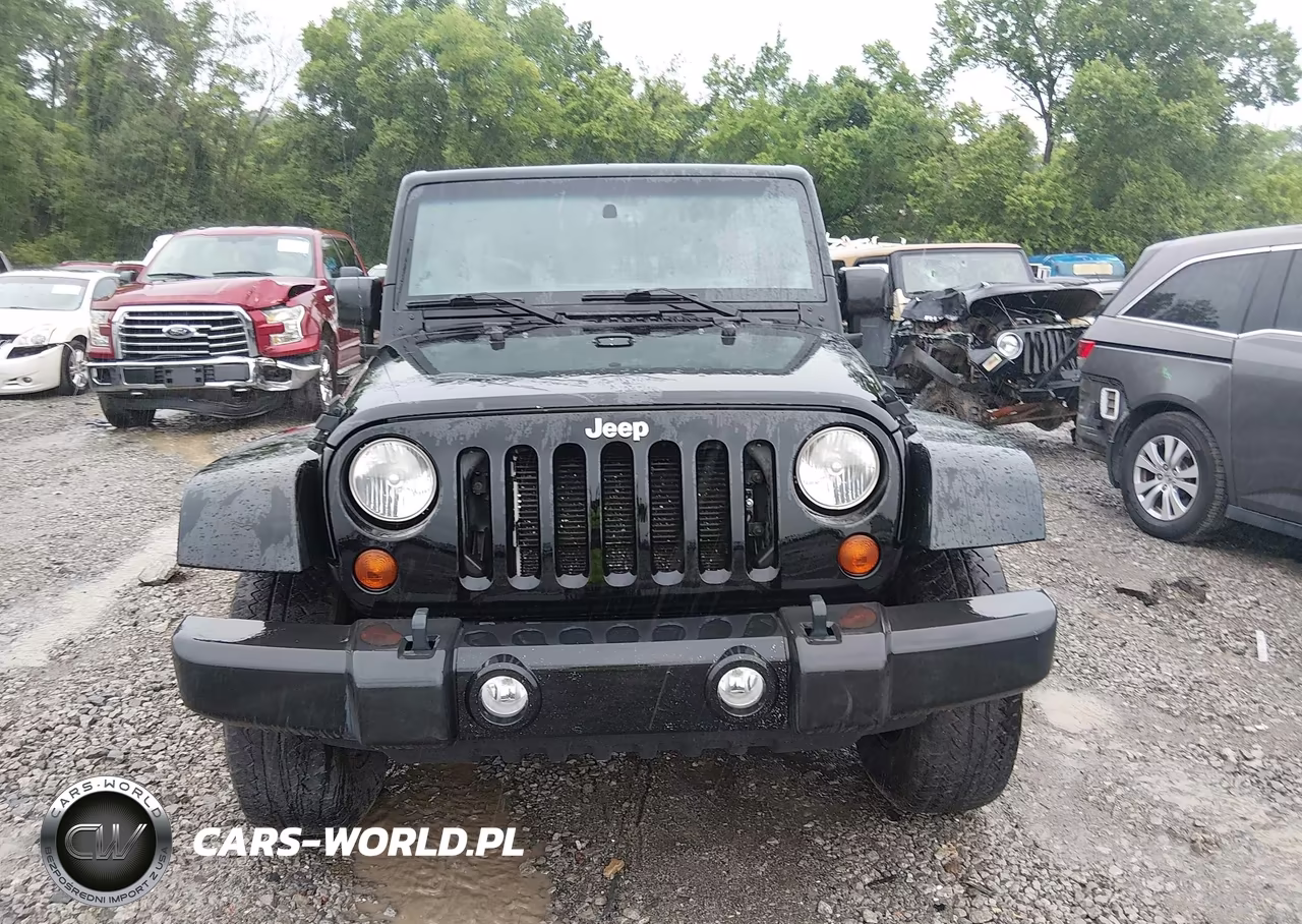 2013 Jeep Wrangler Unlimited Sahara VIN:1C4BJWEG1DL624957 - 12