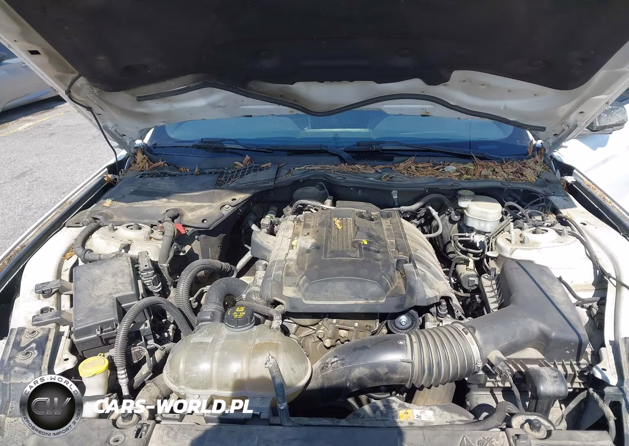2018 Ford Mustang Ecoboost VIN:1FA6P8TH1J5105047 - 10
