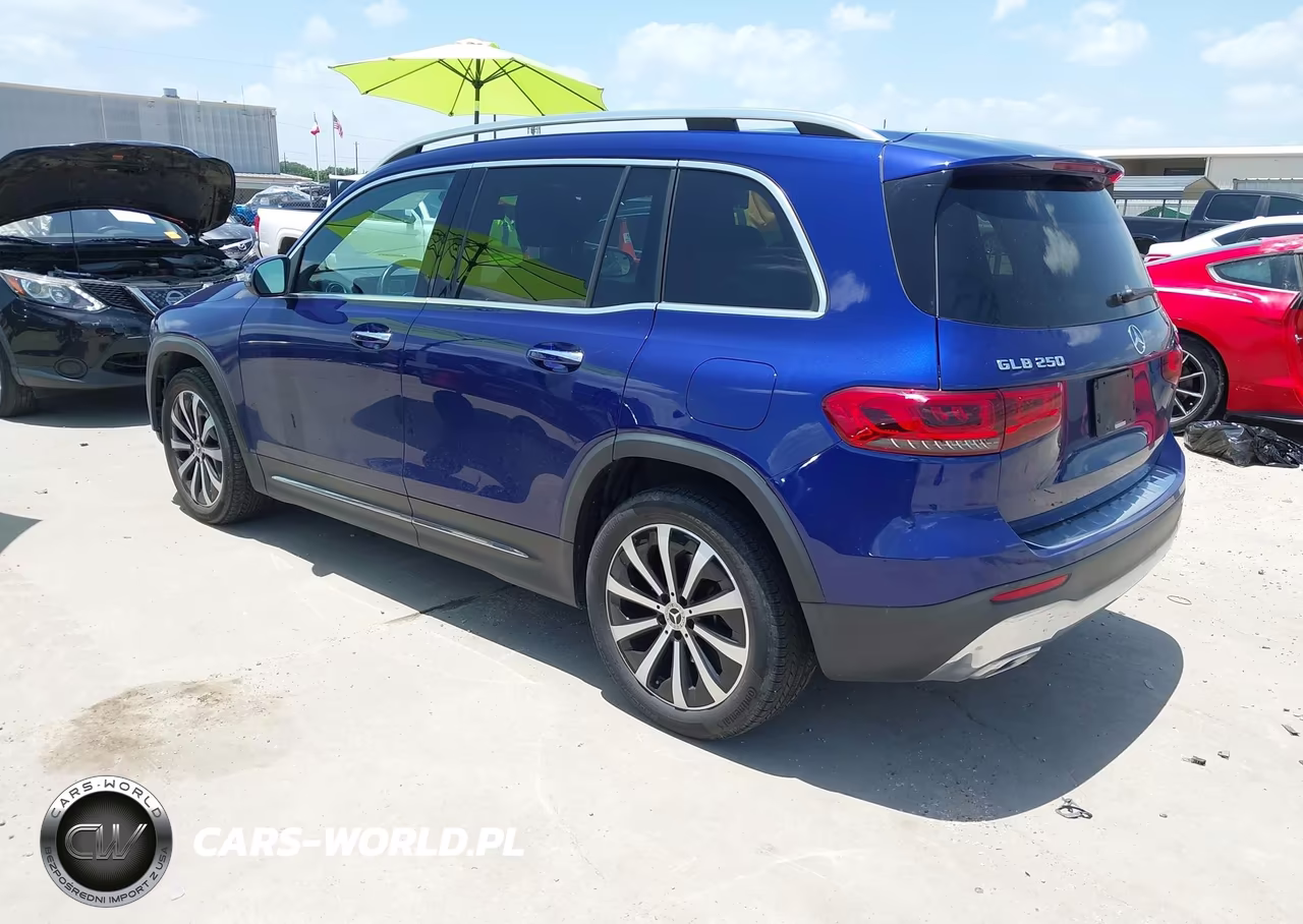 MERCEDES-BENZ GLB 250 4M VIN:W1N4M4HBXPW265849 - 3