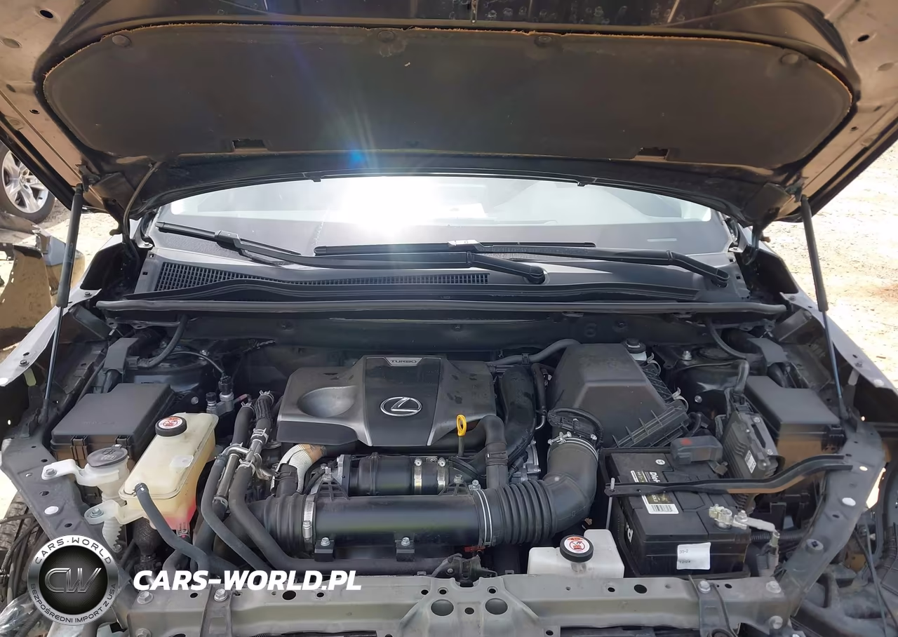 2021 Lexus Nx 300 VIN:JTJDARBZ7M2194824 - 10