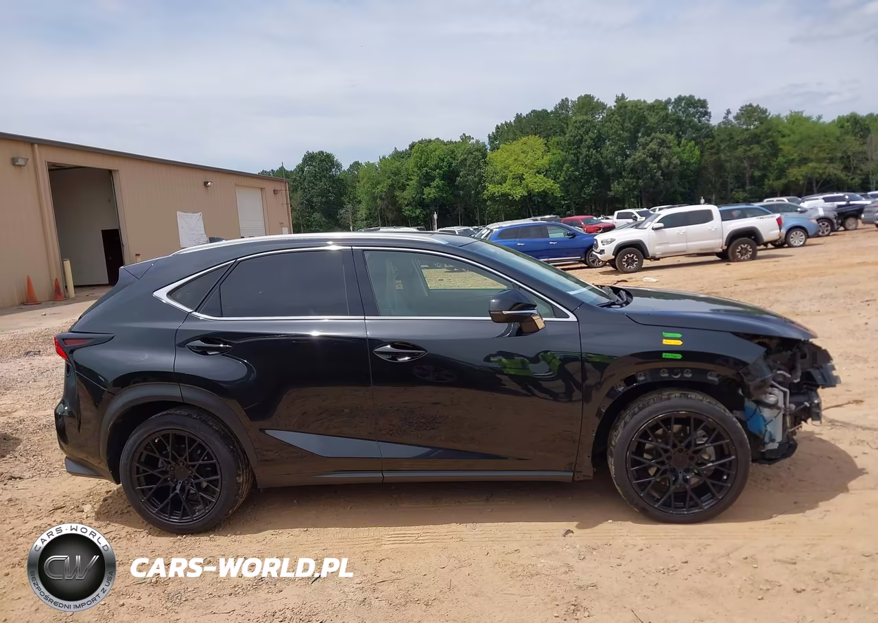 2021 Lexus Nx 300 VIN:JTJDARBZ7M2194824 - 13