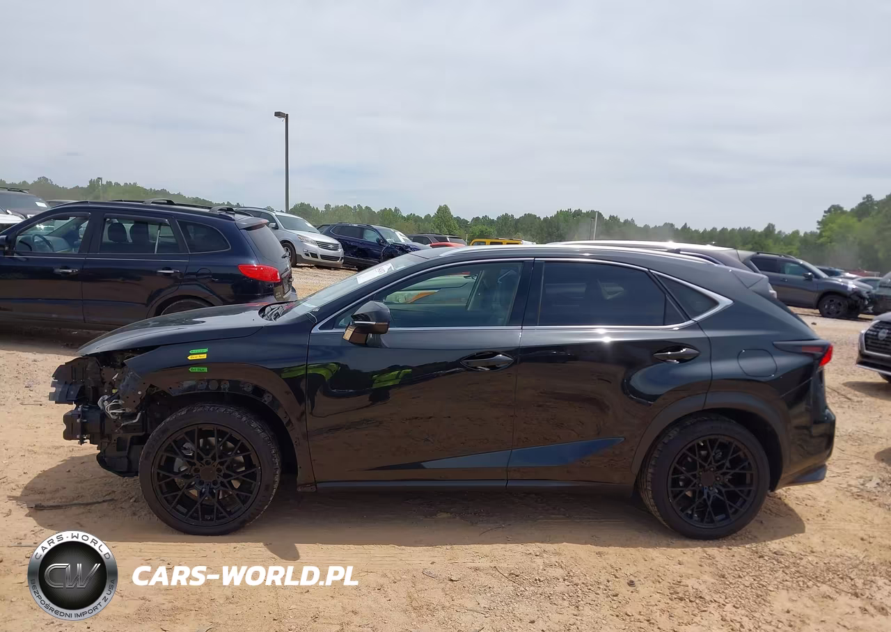 2021 Lexus Nx 300 VIN:JTJDARBZ7M2194824 - 14