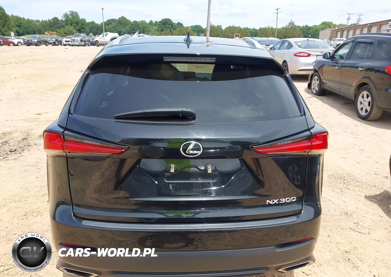 2021 Lexus Nx 300 VIN:JTJDARBZ7M2194824 - 16
