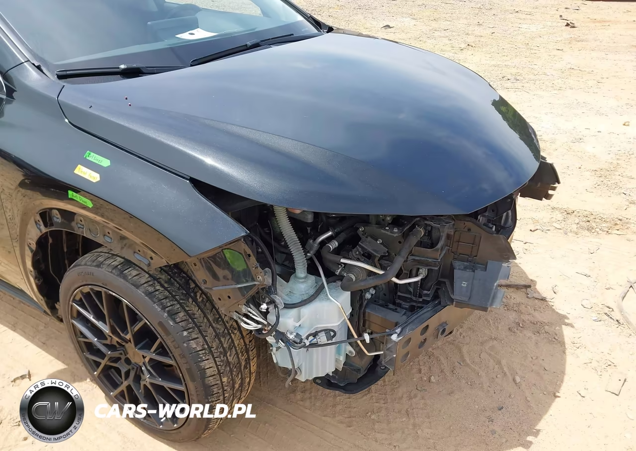2021 Lexus Nx 300 VIN:JTJDARBZ7M2194824 - 17
