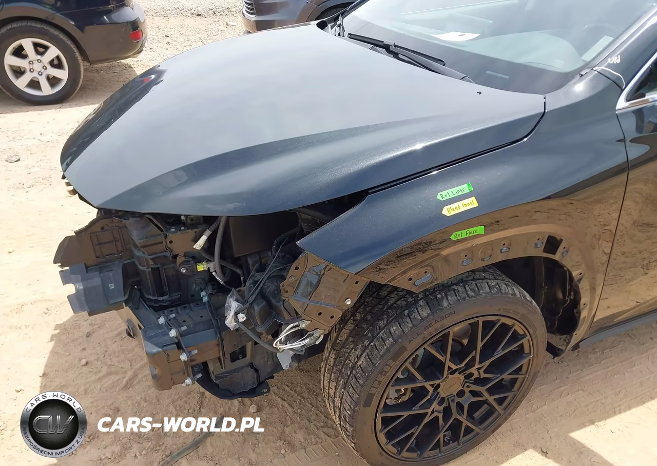 2021 Lexus Nx 300 VIN:JTJDARBZ7M2194824 - 18