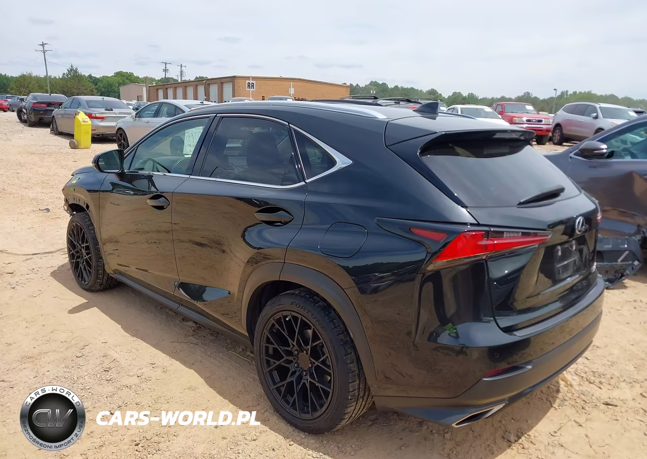 2021 Lexus Nx 300 VIN:JTJDARBZ7M2194824 - 3