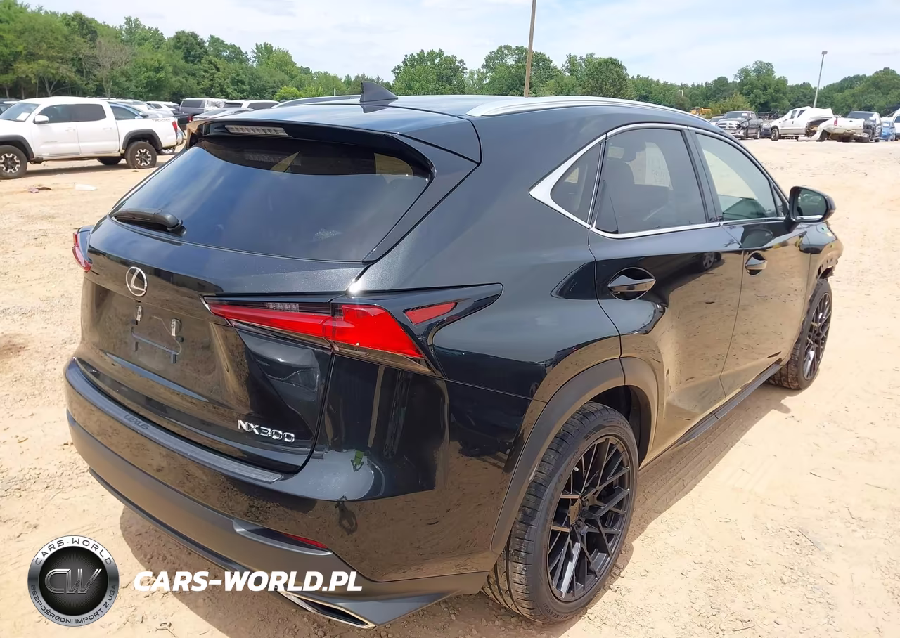 2021 Lexus Nx 300 VIN:JTJDARBZ7M2194824 - 4
