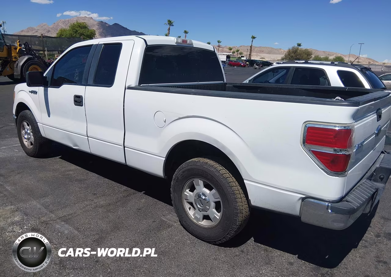 2009 Ford F-150 Stx-Xl-Xlt VIN:1FTRX12899FA09379 - 3