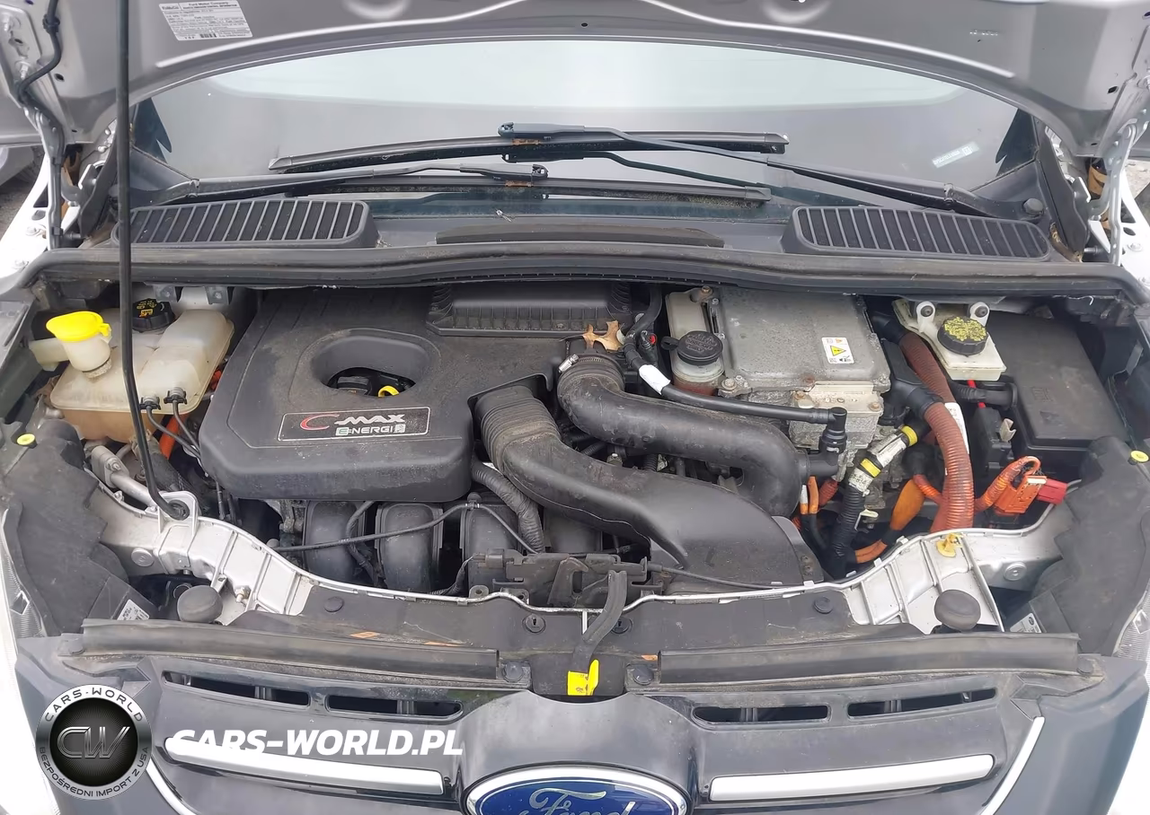 2014 Ford C-Max Premium VIN:1FADP5CU7EL510088 - 10