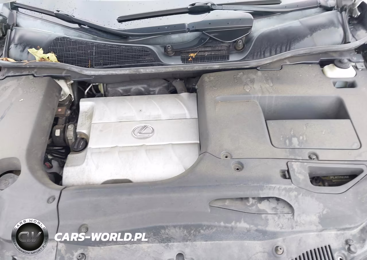 2014 Lexus Rx 350 VIN:2T2ZK1BA6EC138048 - 10
