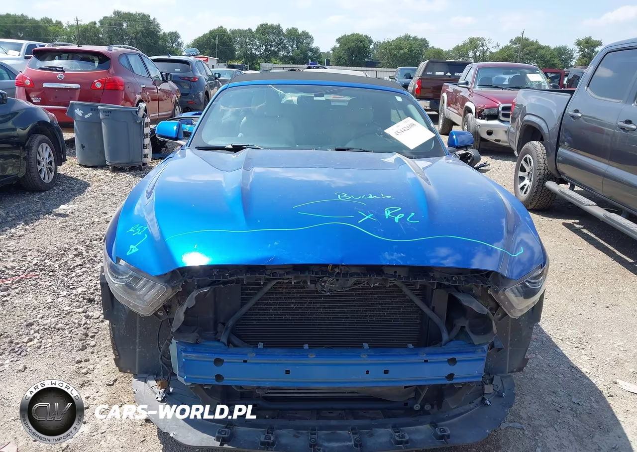 2017 Ford Mustang Ecoboost Premium VIN:1FATP8UH7H5282522 - 13