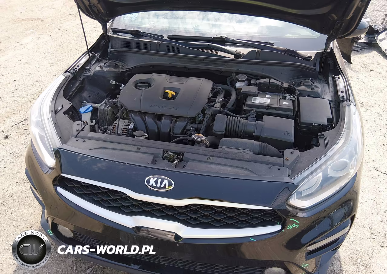 2021 Kia Forte Lxs VIN:3KPF24AD5ME353523 - 10