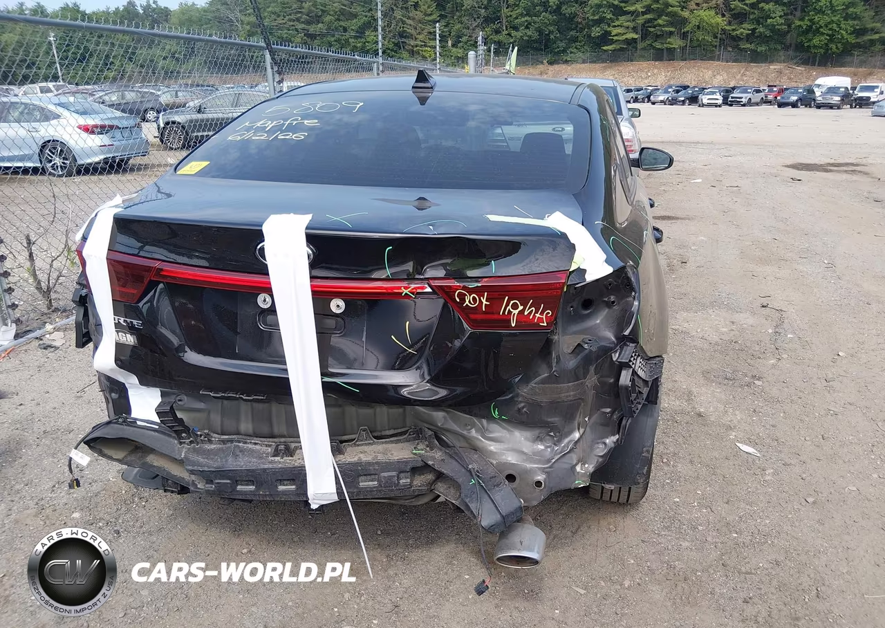 2021 Kia Forte Lxs VIN:3KPF24AD5ME353523 - 17