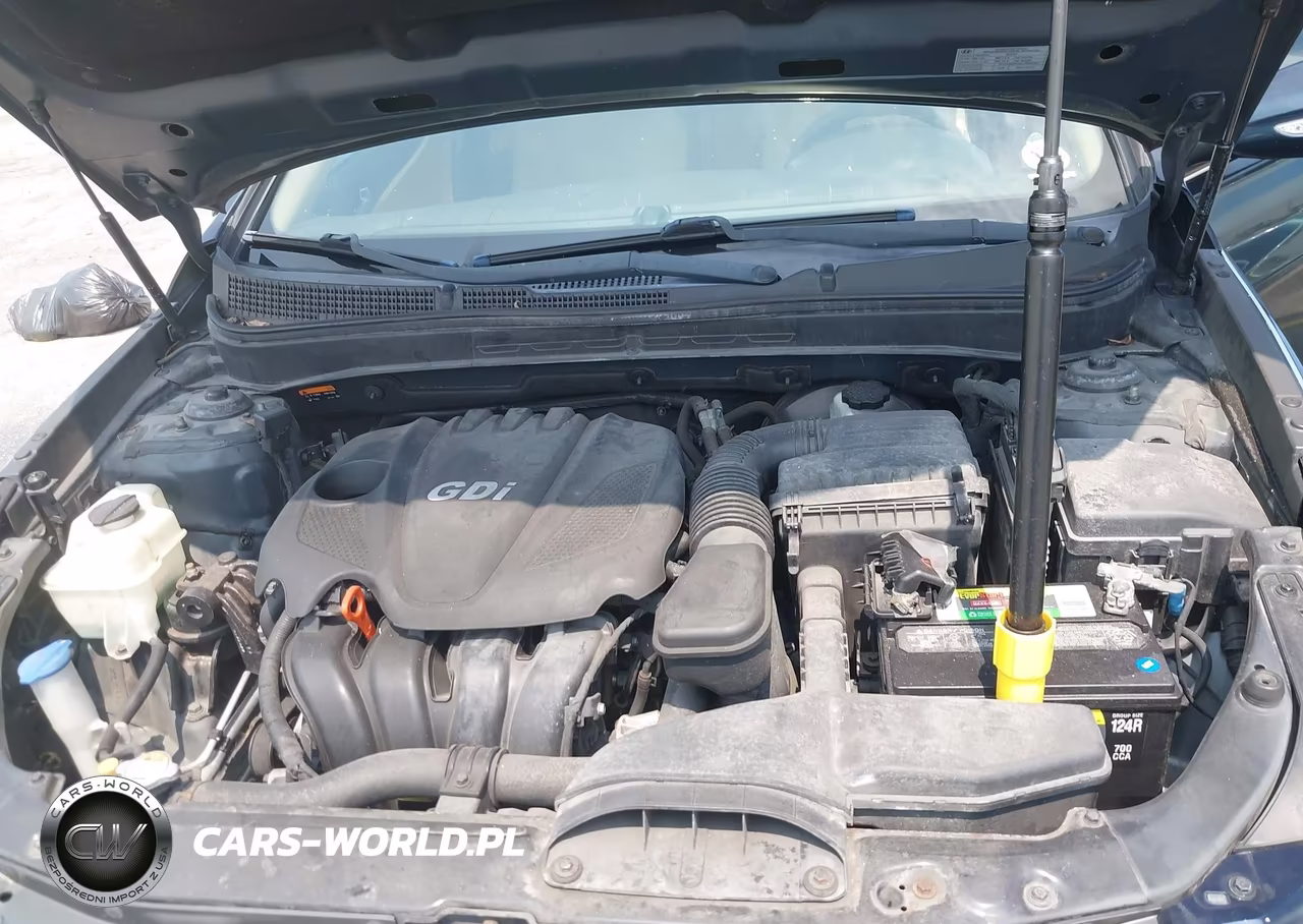 2014 Hyundai Sonata Gls VIN:5NPEB4AC5EH886679 - 10