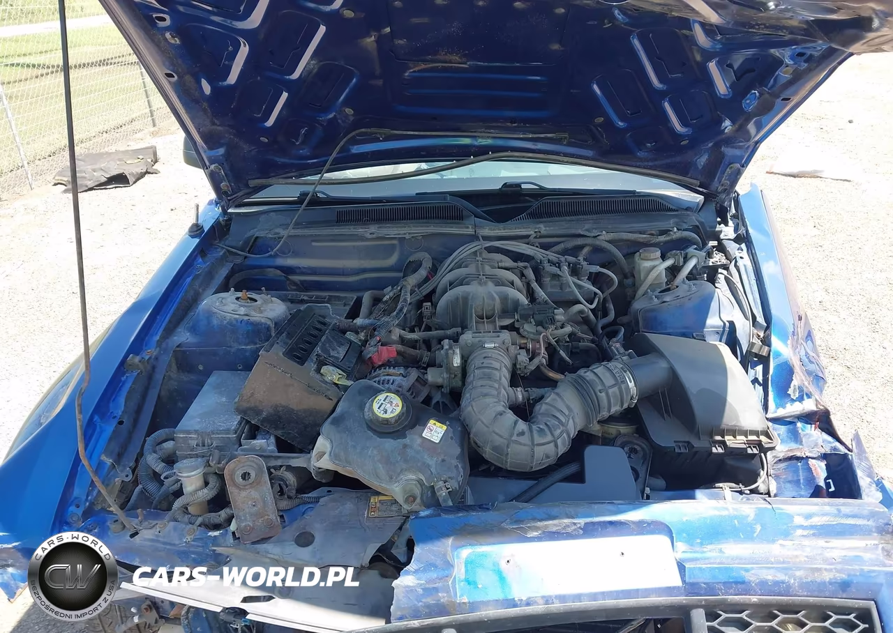 2009 Ford Mustang V6-V6 Premium VIN:1ZVHT80N595144029 - 10