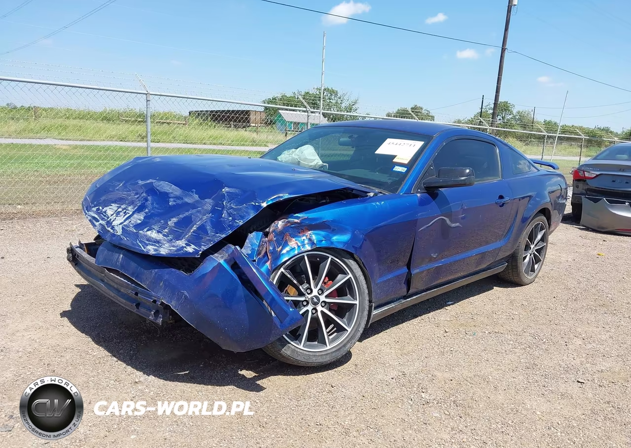 2009 Ford Mustang V6-V6 Premium VIN:1ZVHT80N595144029 - 2