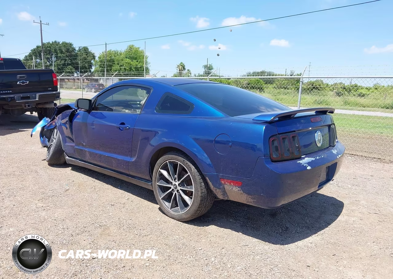 2009 Ford Mustang V6-V6 Premium VIN:1ZVHT80N595144029 - 3