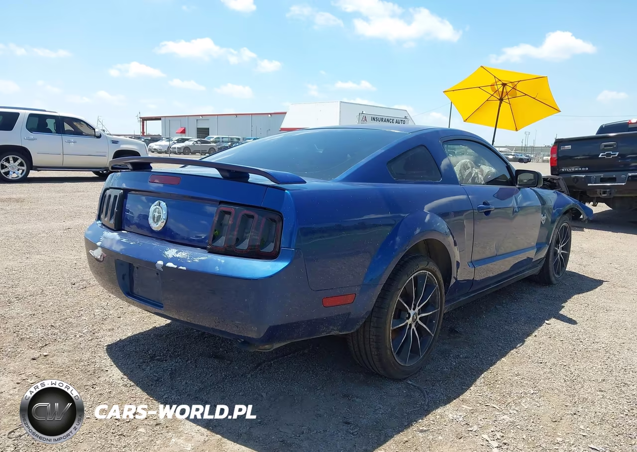 2009 Ford Mustang V6-V6 Premium VIN:1ZVHT80N595144029 - 4