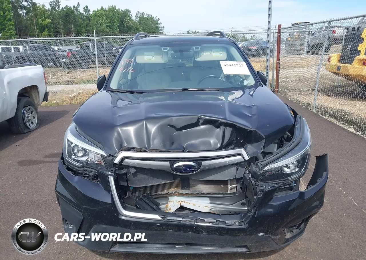 2019 Subaru Forester Premium VIN:JF2SKAEC0KH509183 - 12