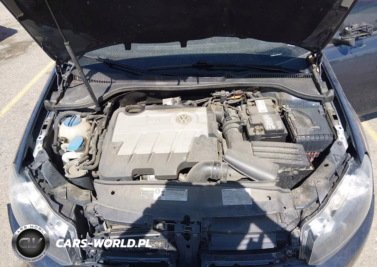2014 Volkswagen Golf 2.0L Tdi VIN:WVWDM7AJ2EW010667 - 10