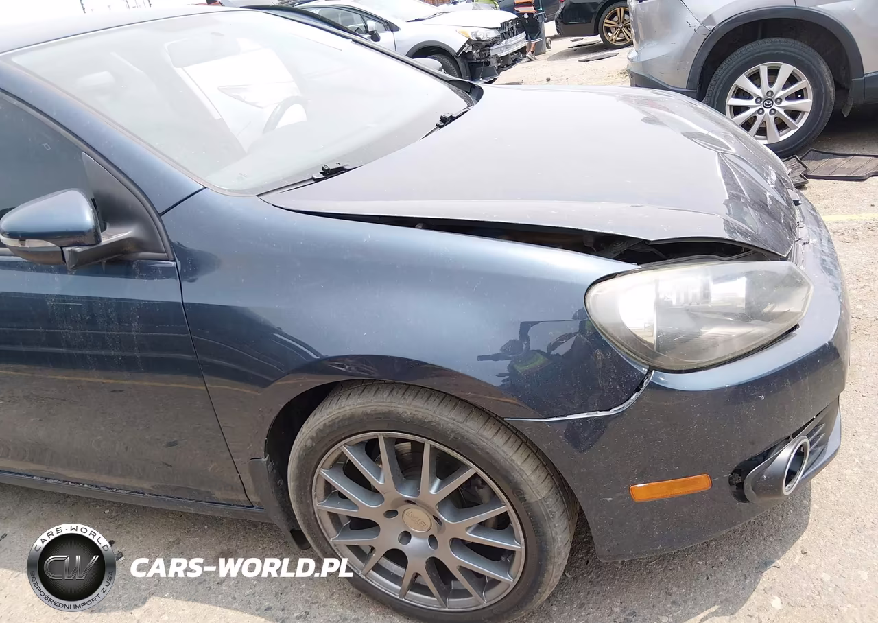 2014 Volkswagen Golf 2.0L Tdi VIN:WVWDM7AJ2EW010667 - 18