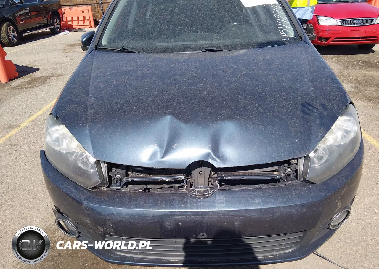 2014 Volkswagen Golf 2.0L Tdi VIN:WVWDM7AJ2EW010667 - 6