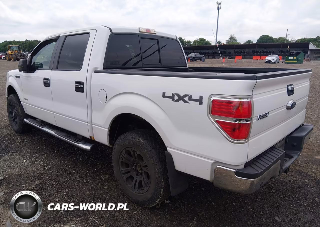 2013 Ford F-150 Fx4-King Ranch-Lariat-Limited-Platinum-Xl-Xlt VIN:1FTFW1ET4DFC56033 - 3