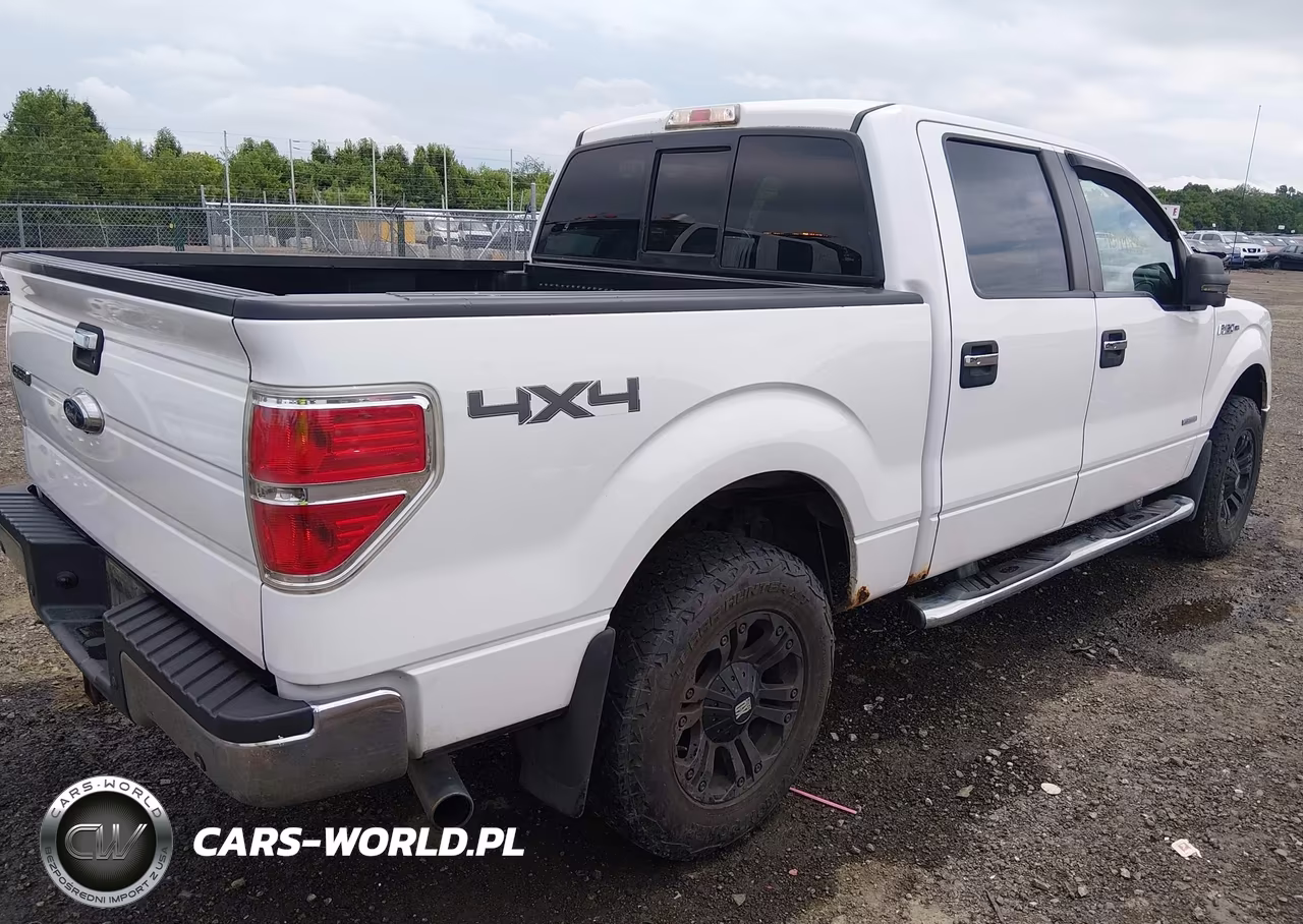 2013 Ford F-150 Fx4-King Ranch-Lariat-Limited-Platinum-Xl-Xlt VIN:1FTFW1ET4DFC56033 - 4