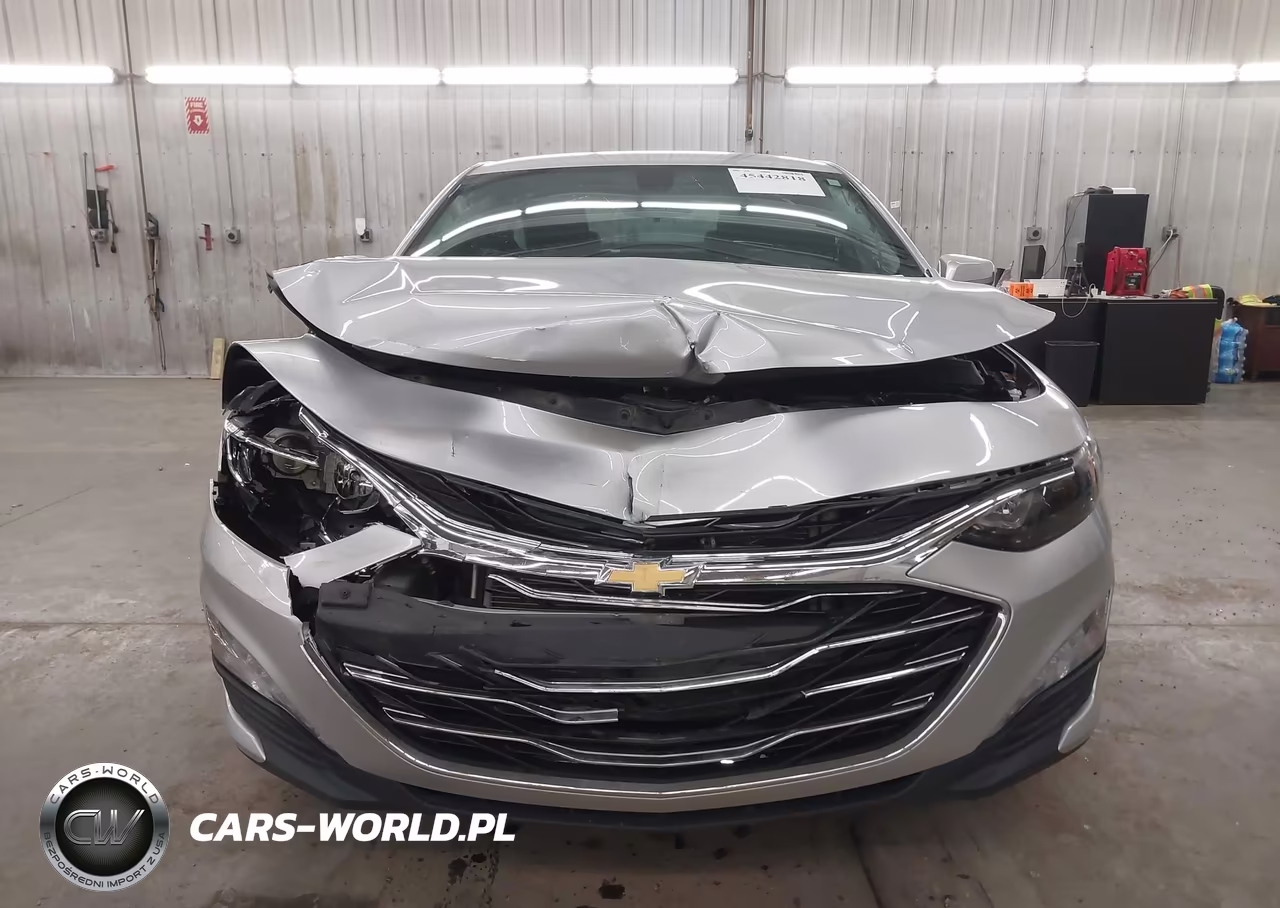 2019 Chevrolet Malibu Lt VIN:1G1ZD5ST0KF117005 - 12