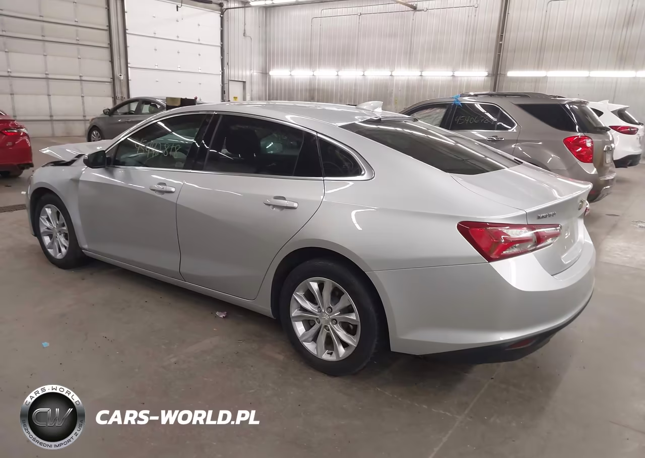 2019 Chevrolet Malibu Lt VIN:1G1ZD5ST0KF117005 - 3