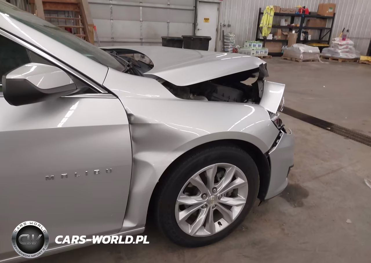 2019 Chevrolet Malibu Lt VIN:1G1ZD5ST0KF117005 - 6