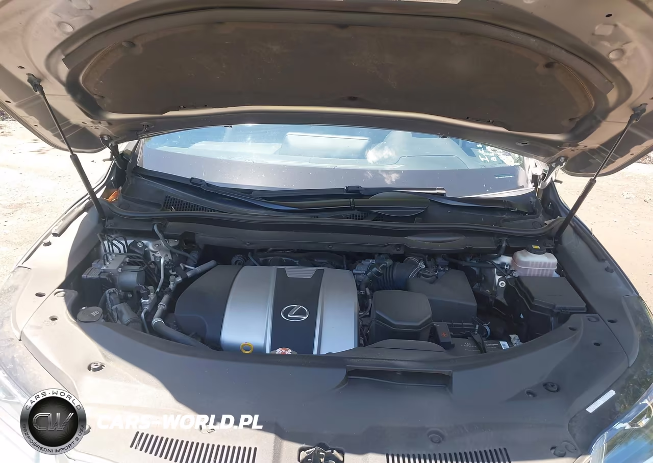 2018 Lexus Rx 350L Premium VIN:JTJDZKCA0J2006651 - 10