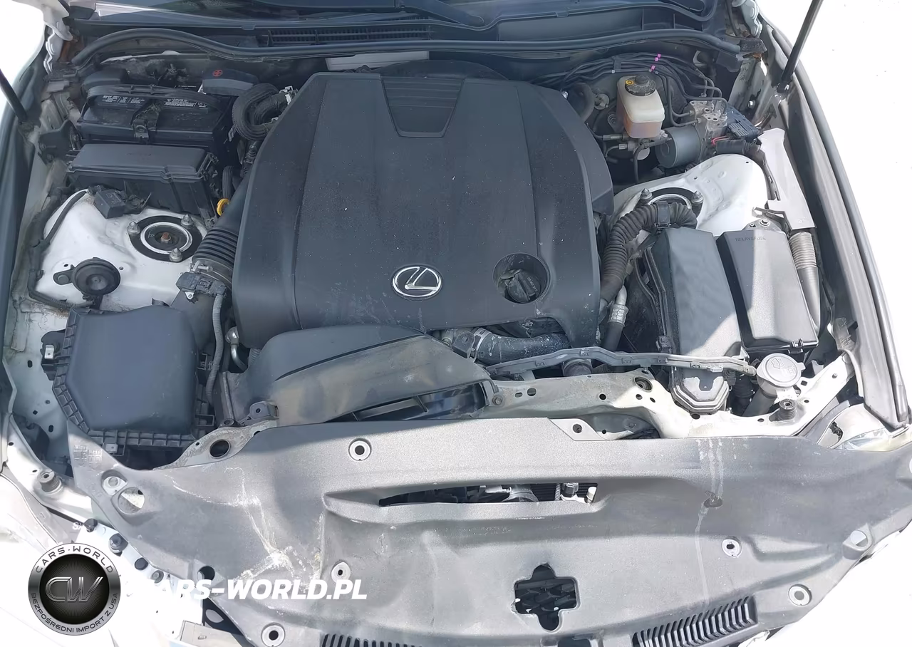 2014 Lexus Is 250 VIN:JTHBF1D28E5026394 - 10