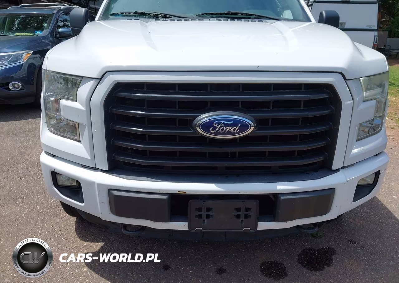 2016 Ford F-150 King Ranch-Lariat-Platinum-Xl-Xlt VIN:1FTEW1EF3GFD02798 - 12